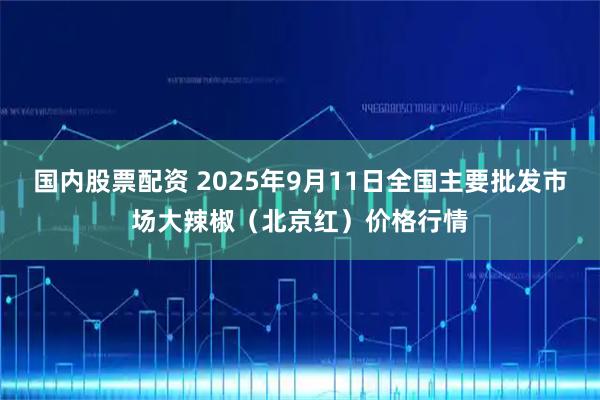 国内股票配资 2025年9月11日全国主要批发市场大辣椒（北京红）价格行情