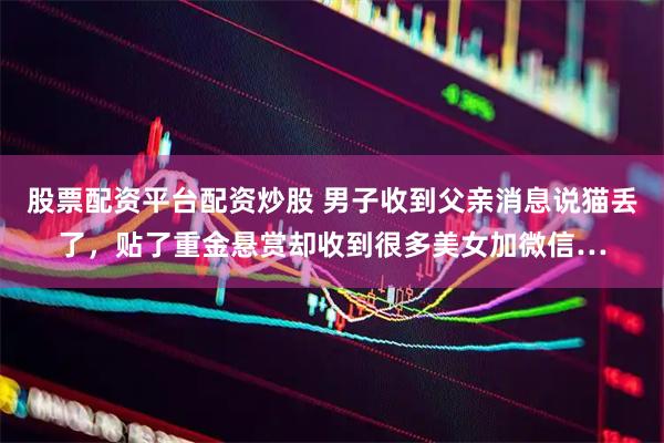 股票配资平台配资炒股 男子收到父亲消息说猫丢了，贴了重金悬赏却收到很多美女加微信…